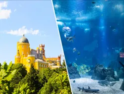 Combo (Save 10%): Lisboa's Oceanário + National Palace of Pena & Park Tickets